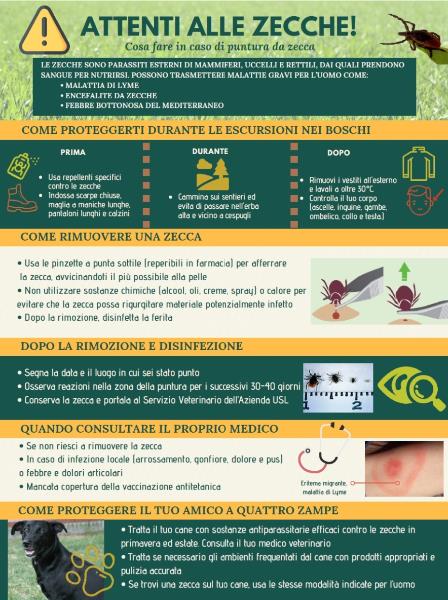 ATTENTI ALLE ZECCHECosa fare in caso di puntura da zecca?
Come proteggere il tuo Amico a quattro zampe?
