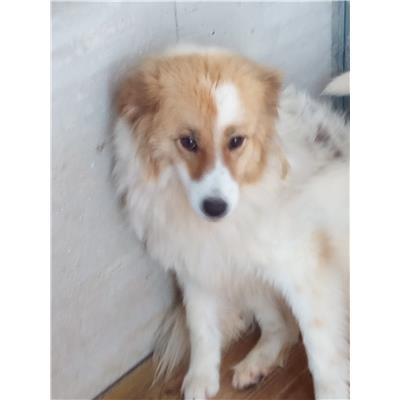 COMUNE DI ANAGNI - 380260042888167