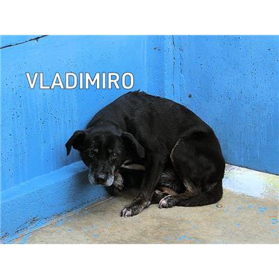 COMUNE DI VEROLI - 380260040548752