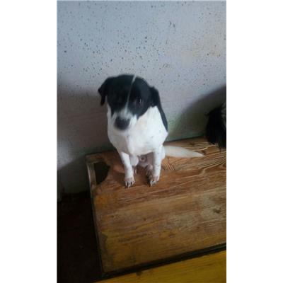 COMUNE DI AMASENO - 380260042867467