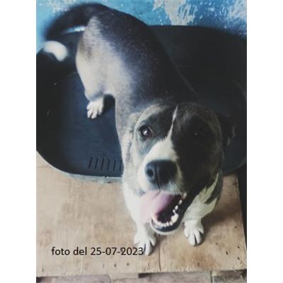 COMUNE DI PIEDIMONTE SAN GERMANO - 380260170052210