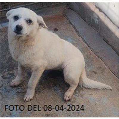 COMUNE DI SAN GIOVANNI INCARICO - 380260004802510